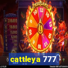 cattleya 777